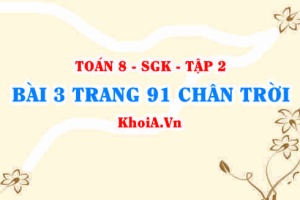 Bài 3 trang 91 Toán 8 Chân trời sáng tạo Tập 2